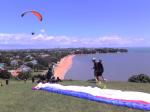 Paragliding Fluggebiet Australien / Ozeanien » Neuseeland,North Head,North Head, Devonport