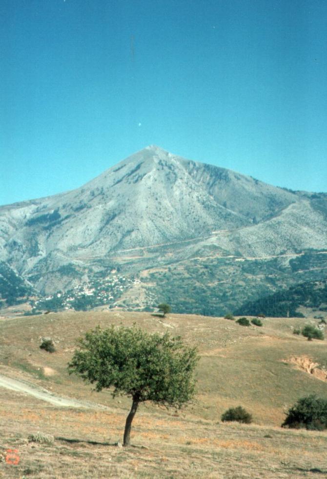 Der Kissavos aus nordwestlicher Richtung, über dem Baum ist am Hang  das Dorf Spilia zu sehen.

Foto: Starkstromdoris