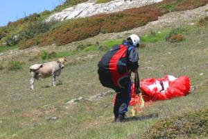Manchmal gibt es am Startplatz auch "interessierten" Besuch!
Foto: Flugschule Rottweil 2004