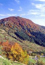 Paragliding Fluggebiet Europa » Frankreich » Provence-Alpes-Côte d Azur,Gourdon,