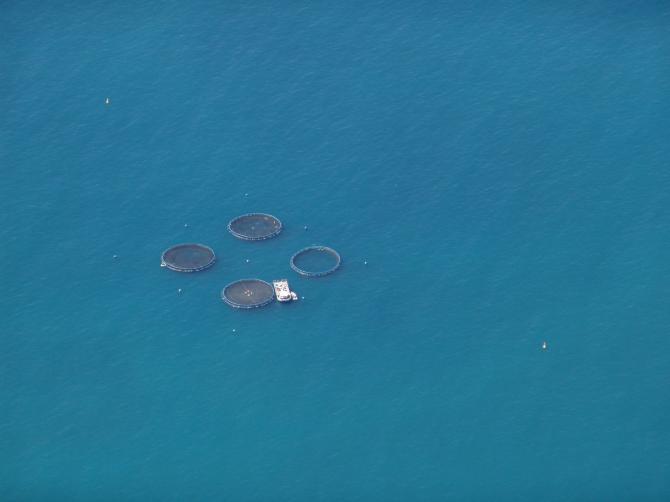 Blick auf die Fischzuchtbecken vorne an der Kante, März 2007