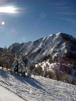 Paragliding Fluggebiet Europa » Frankreich » Provence-Alpes-Côte d Azur,La Colmiane,Wunderschön zum Ski fahren...