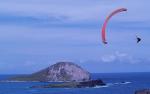 Paragliding Fluggebiet Nordamerika USA Hawaii,Makapuu,Alex flying
