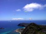 Paragliding Fluggebiet Nordamerika USA Hawaii,Makapuu,Hier bleibt ihr sicher nicht lange einsam.