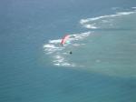Paragliding Fluggebiet Nordamerika » USA » Hawaii,Kahana,Ken über der Turtle Bay
Kahana Beach Oahu/Hawaii
Photo: Micha