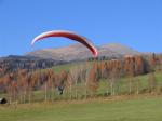 Paragliding Fluggebiet Europa » Österreich » Steiermark,Greim,Markus im Landeanflug
