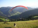 Paragliding Fluggebiet Europa » Österreich » Steiermark,Silberberg,Kira unsere Schäfer/Huskydame, möchte wohl am liebsten mit abheben.