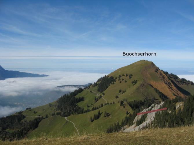 Startplatz Musenalp NW mit Blick auf das Fluggebiet Buochserhorn