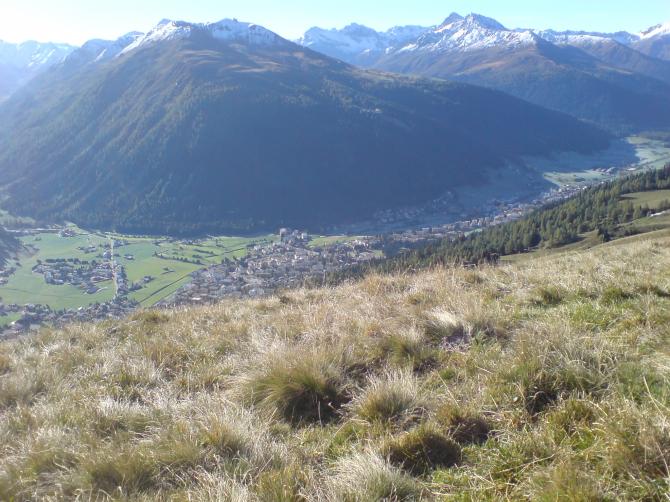 Herbst 06 morgens nach Kaffe und Gipfeli...