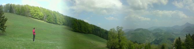 Panoramablick vom Startplatz Richtung Osten (24.04.09)