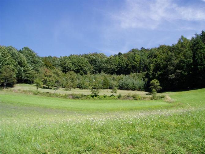 hinter der baumreihe ist der startplatz  um fliegen zu können müsste der wind aus wsw kommen damit er dich rechts an den wald hochschiebt