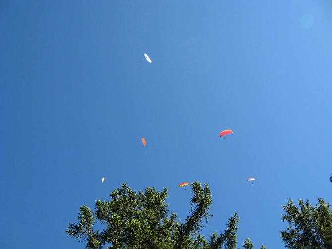 Etliche Piloten in der Luft