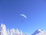 Wintersoaring