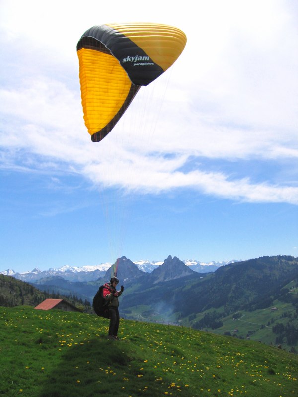 Startwiese bei der kleinen Amsel