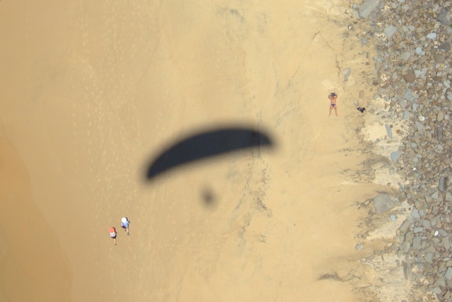 Watching the flightless enjoy the beach ...