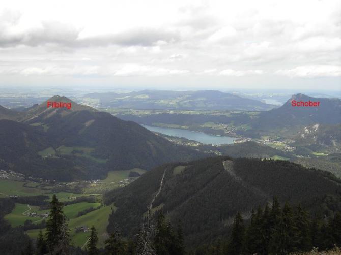 Auf diesen Foto sieht man den Filbling von hinten. Der Startplatz ist nicht ersichtlich. Zur besseren Vorstellung!