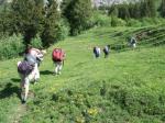Paragliding Fluggebiet Europa » Schweiz » Bern,Gummen - Gummeralp,Marsch vom Strassenende zum Startplatz ca 5 min...