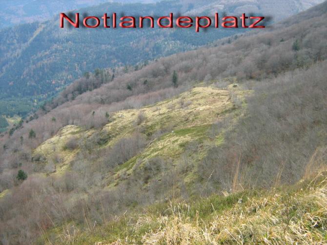 Notlandeplatz: in Bildmitte ist gerade ein Gleitschirm gelandet.