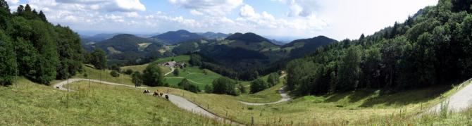 Startplatz Juli 2010