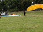 Paragliding Fluggebiet ,,Start an der Winde