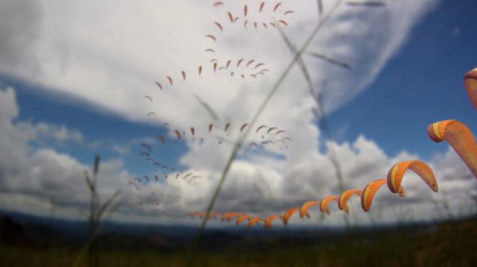 Rafael de Goes in a termal in the ATCS - Curitiba - Brazil, photo by Luis Ricardo Langendyk
