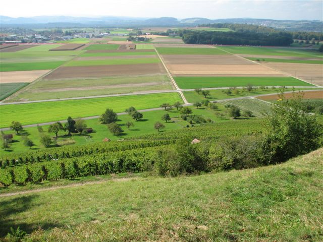 Sicht vom Startplatz aus.