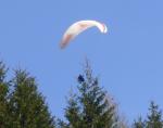 Paragliding Fluggebiet Europa » Deutschland » Sachsen,Fichtelberg,Zapfenpflücken an der Waldkante