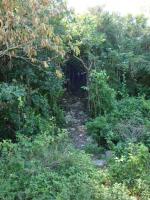 Paragliding Fluggebiet Nordamerika » Kuba » La Habana,Canasi,Einstieg Weg nach oben..