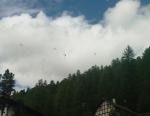 Paragliding Fluggebiet Europa » Italien » Trentino-Südtirol,Sulden, Stilfs,Gleitschirme beim fliegen :-)