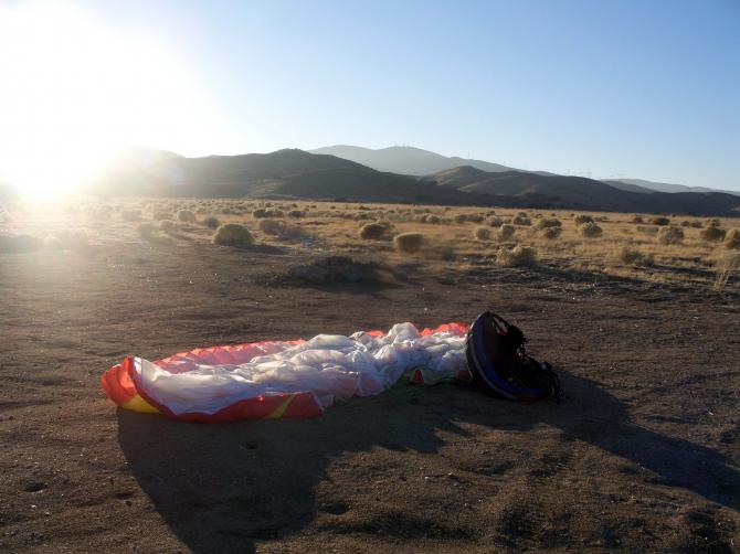 hier sieht man die Tumbleweeds, auch Steppenläufer oder "rollende Büsche" genannt.