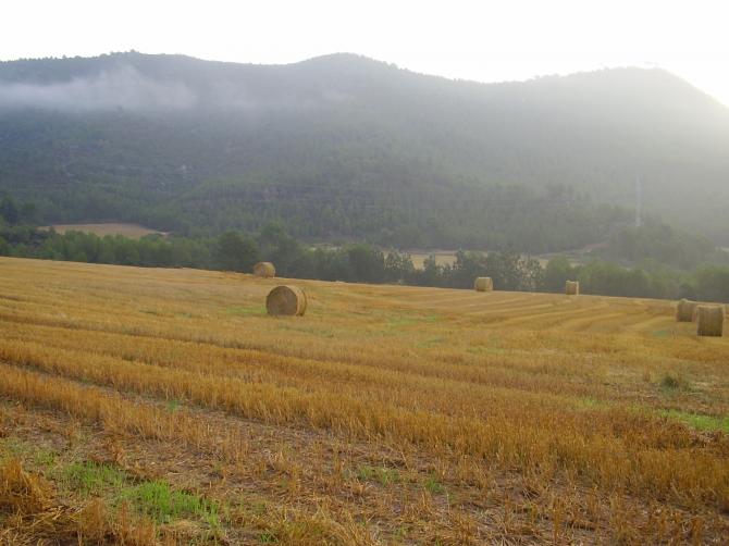 Der wirklich großzügige Landeplatz im Sommer 2009