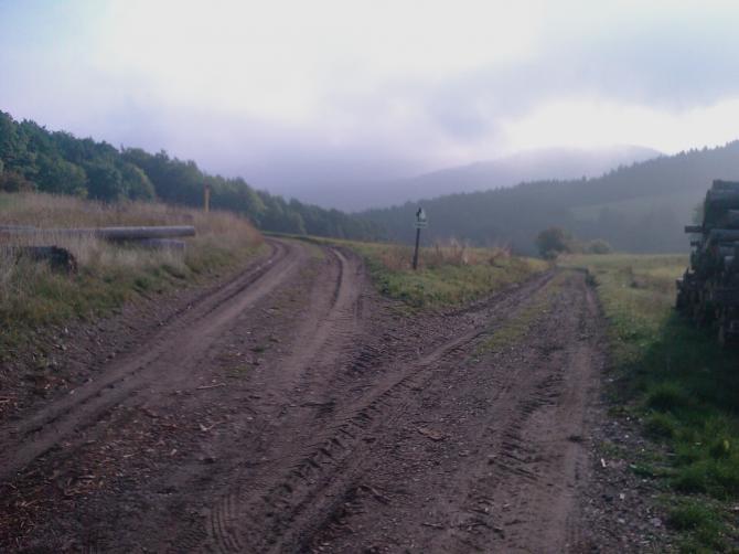 Die Weggabelung hinter dem Holzplatz, hier den linken Weg nehmen.