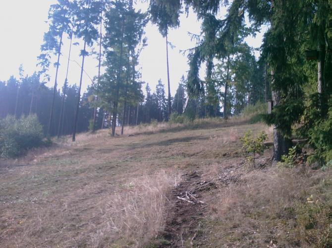 Der Platz zum Auslegen der Schirme in Knobelsdorf vom Rastplatz aus.