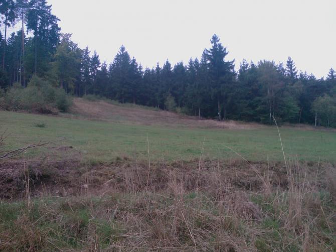 Die Startwiese Knobelsdorf