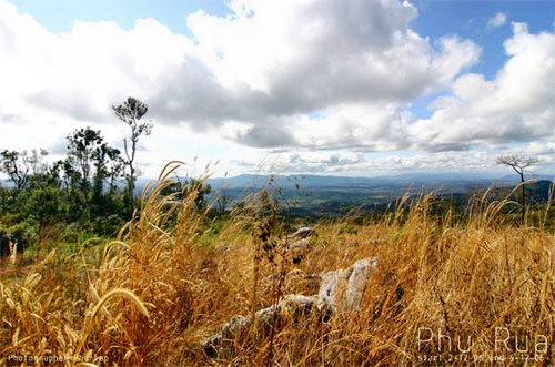 Impresionen PhuRua-Nationalpark