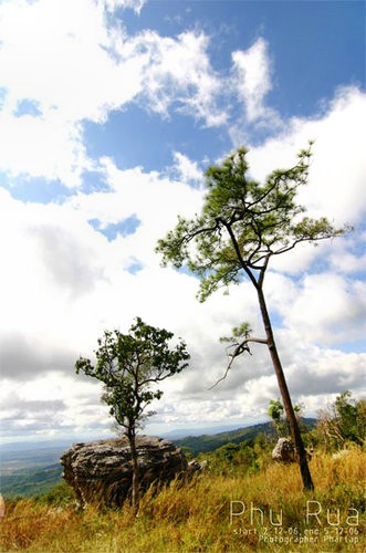 Impresionen PhuRua-Nationalpark