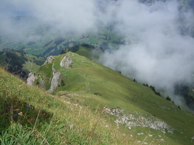 Startwiesen nach Ost mit Schirmdepot (in Bildmitte) vom Gehrihorn aus gesehen, West auch möglich, aber steil mit Weidezäunen