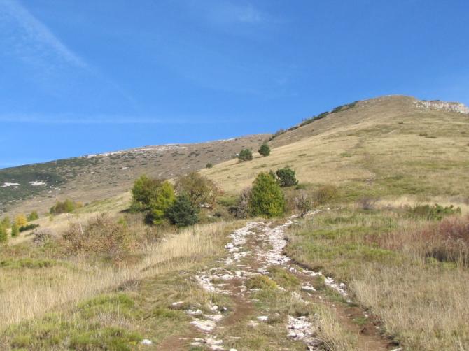 Blick von der Waldgrenze zum Gipfel. Es gibt unzählige einfache Startmöglichkeiten