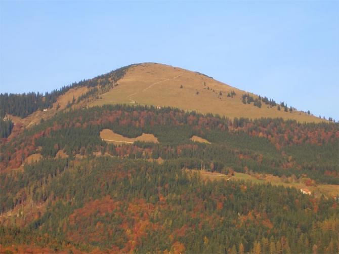 Foto von www.schlenken.at!
Der riesen Wiesenstartplatz!