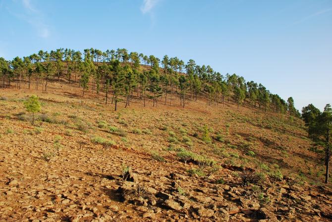 Gipfelplateau von Westen