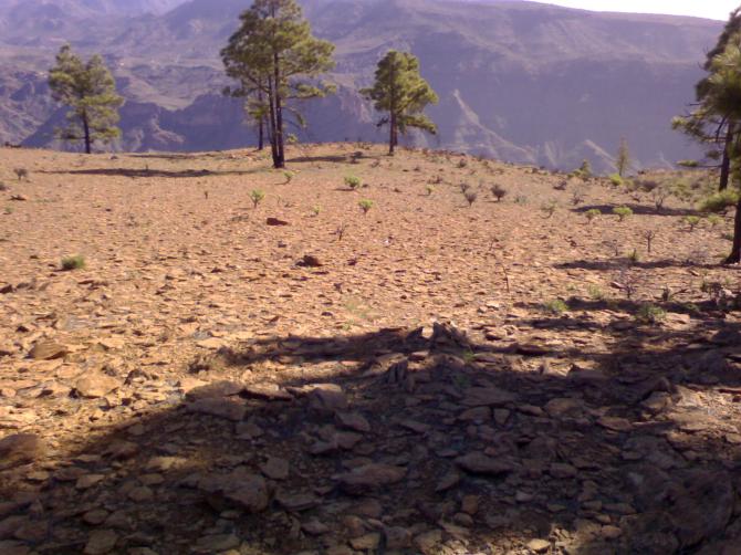 Ostschulter: Idente Bodenbeschaffenheit wie am Oststart aber schwierigere Windverhältnisse