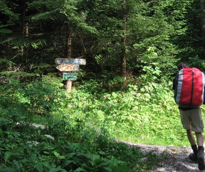 Von der Forststraße auf den Bergsteig
