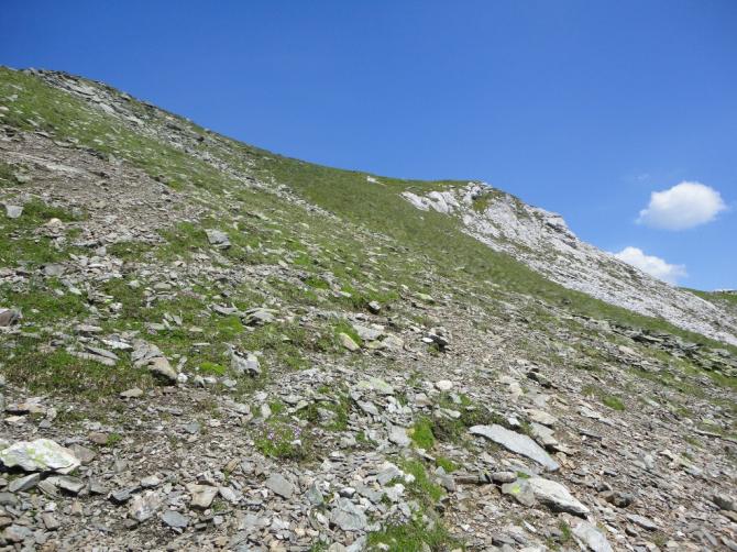 Lungauer Kalkspitze: Startwiese südlich Gipfel
