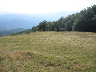 Startplatz Richtung West