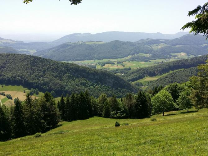 Startplatz Chellechöpfli Süd 2 (Juni 14)