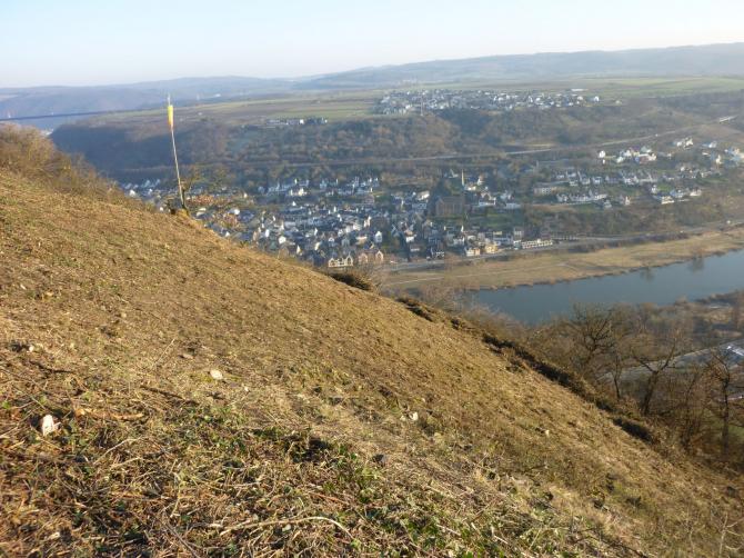 Blick vom Startplatz auf die gegenüberliegenden Moselwiesen in Dieblich (Notlandemöglichkeit).