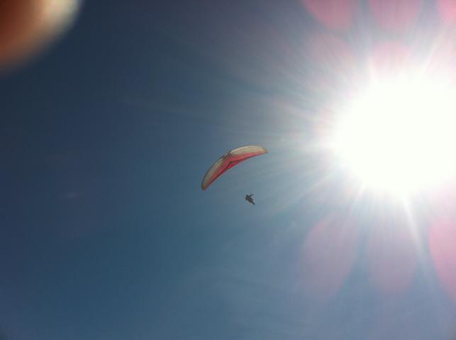 Erste Flüge 2.4.2011