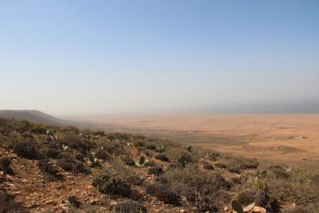 Take off.  More and more space for take off is soon gonna be cleared from cactuses and other not so paragliding friendly plants.