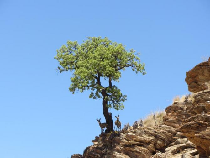 Impression von der Auffahrt