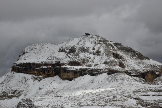 Blick vom Sasso Pordoi zum Piz Boe, eine gut stündige Wanderung (keine Ahnung ob man da starten kann...)